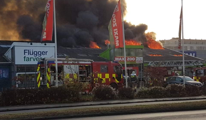 Voldsom brand i Maxi Zoo: En person indlagt