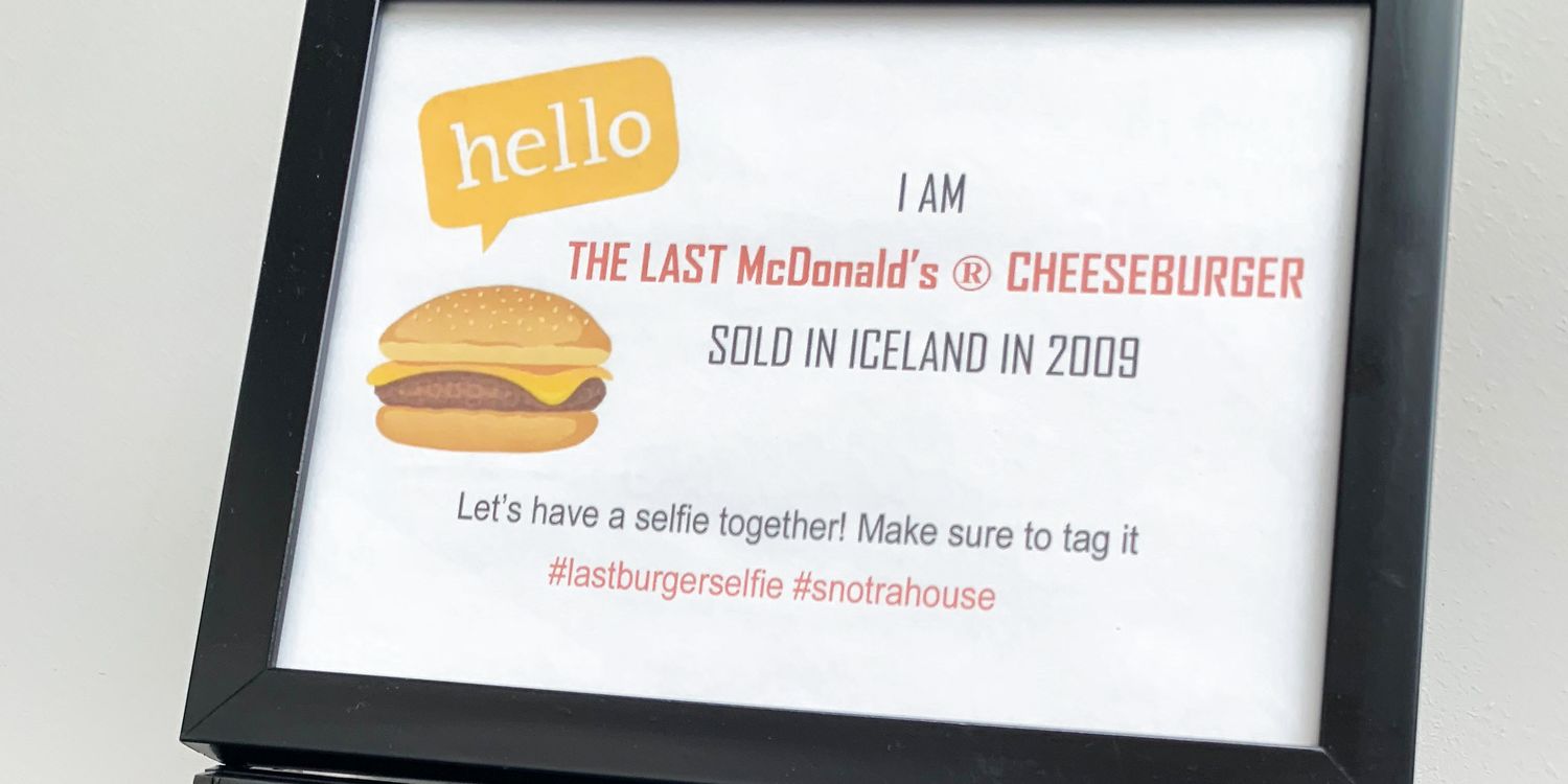 10 år gammel cheeseburger fra McDonalds er ikke rådnet endnu
