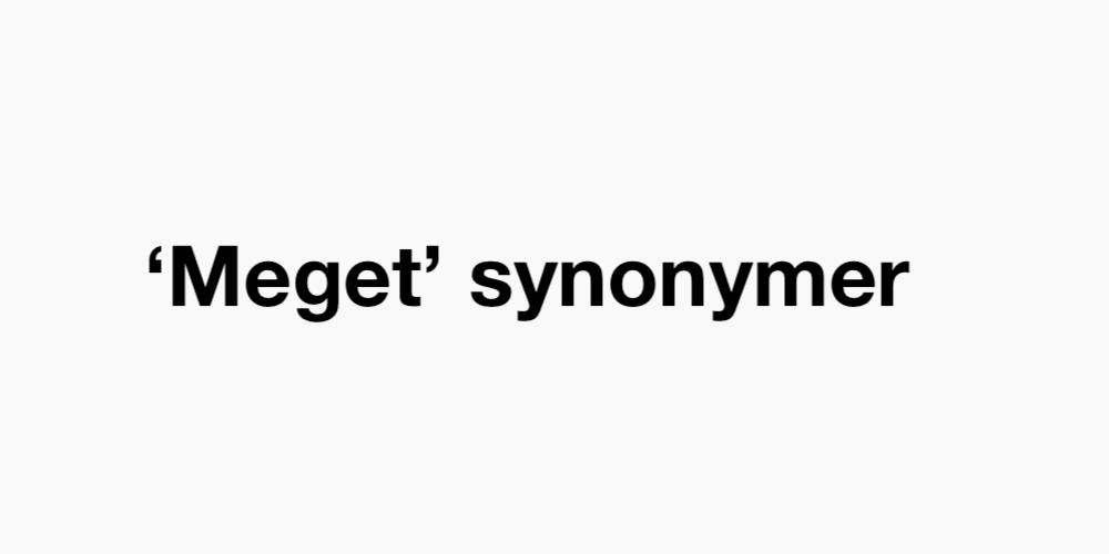 Meget synonym