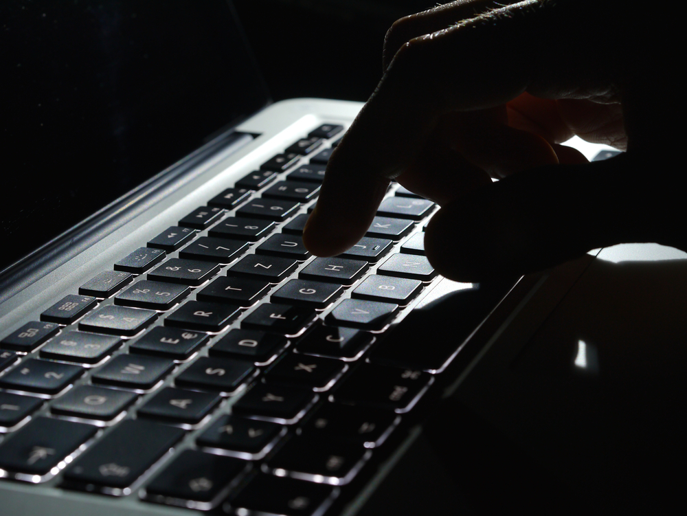 Lisa gik ned i sit køkken sent om aftenen: Skreg over det syn, der mødte hende ved computeren