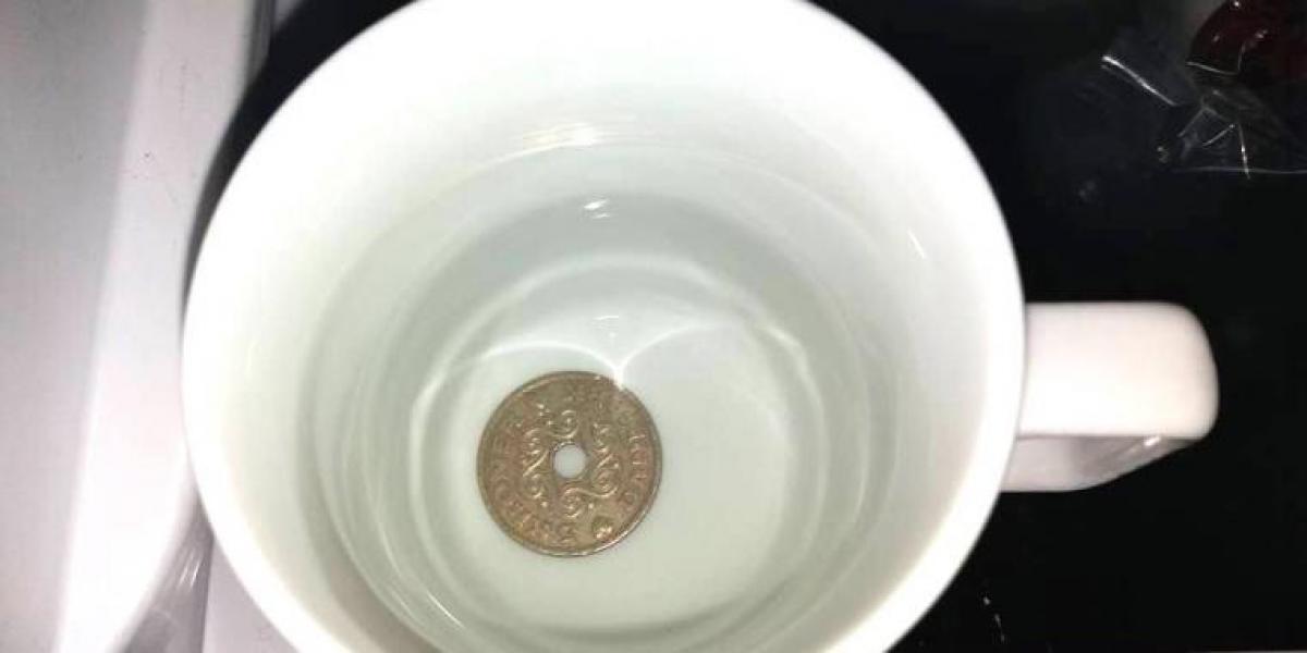 Derfor skal du altid lægge en mønt i fryseren, når du tager hjemmefra