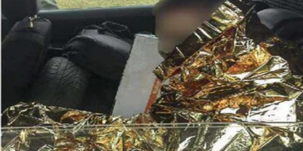 Teenager gik tur med sin hund: Det endte med at politiet måtte redde ham