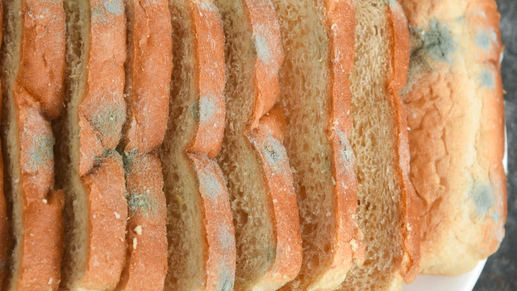 Hvorfor det er risikabelt at spise brød, selvom du fjerner mug: Her er, hvad det virkelig gør ved din krop