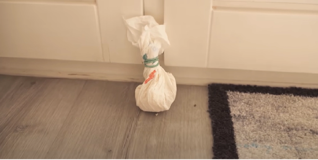 Ligger i de fleste køleskabe: Stil det i en pose bag døren, og myrerne stikker af