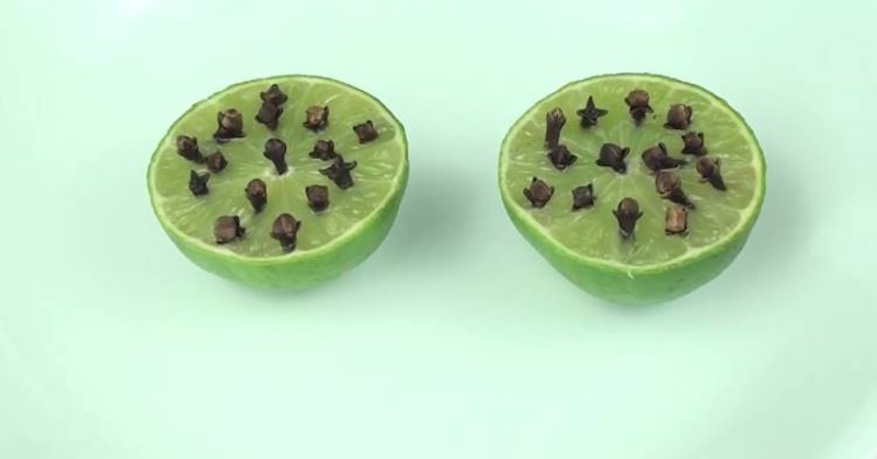 Han stikker nelliker i en lime: Dette trick vil redde din sommer!