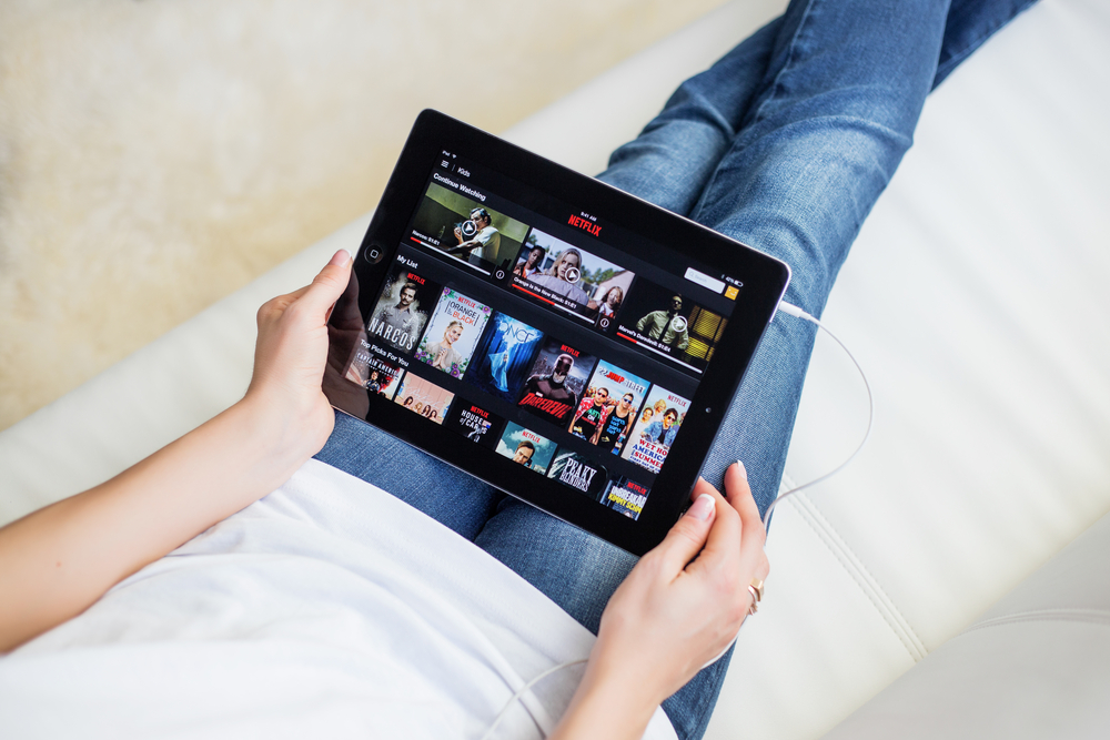Netflix pris