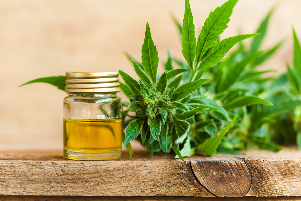 CBD-olie er populært som aldrig før
