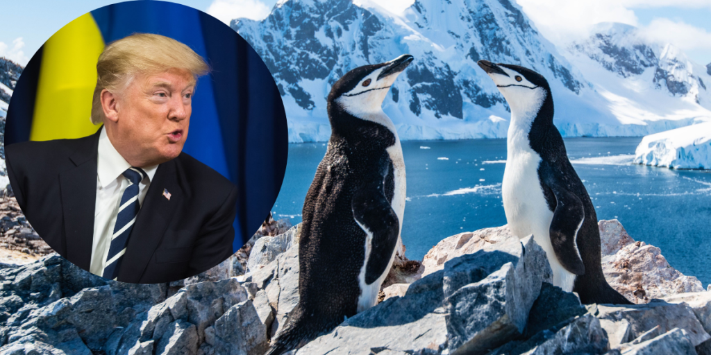 IKKE en forsinket aprilsnar: Trump opkræver told mod… pingviner