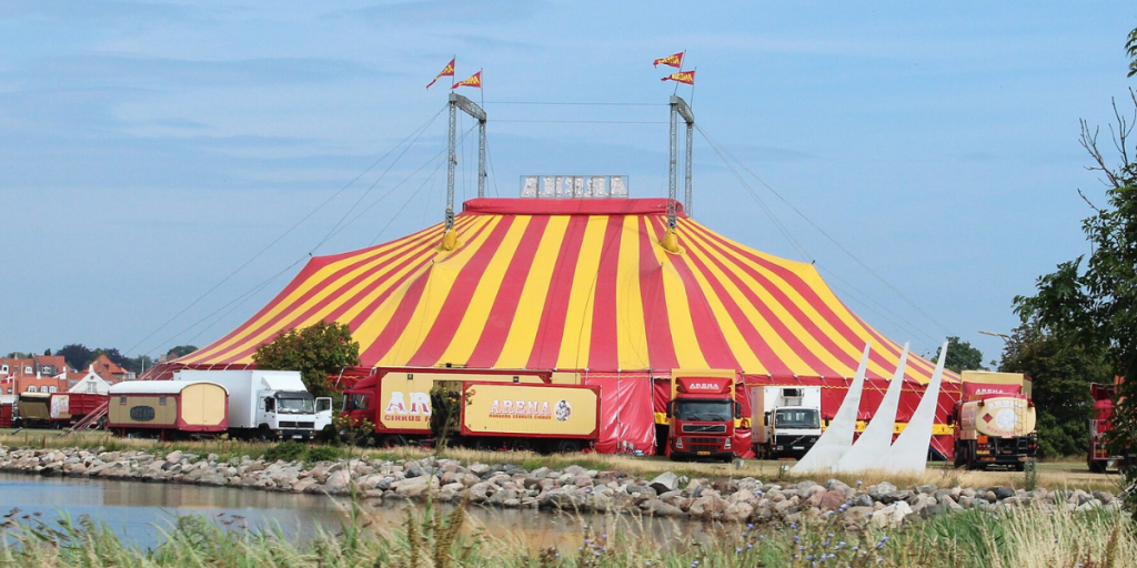 Cirkus Arena Tiltalt i alvorlig sag: Har ikke “bare overtrådt loven”