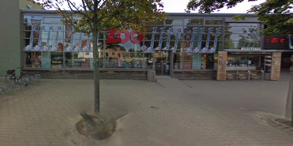 Odense Zoo deler verdensnyhed: Nu er det sket
