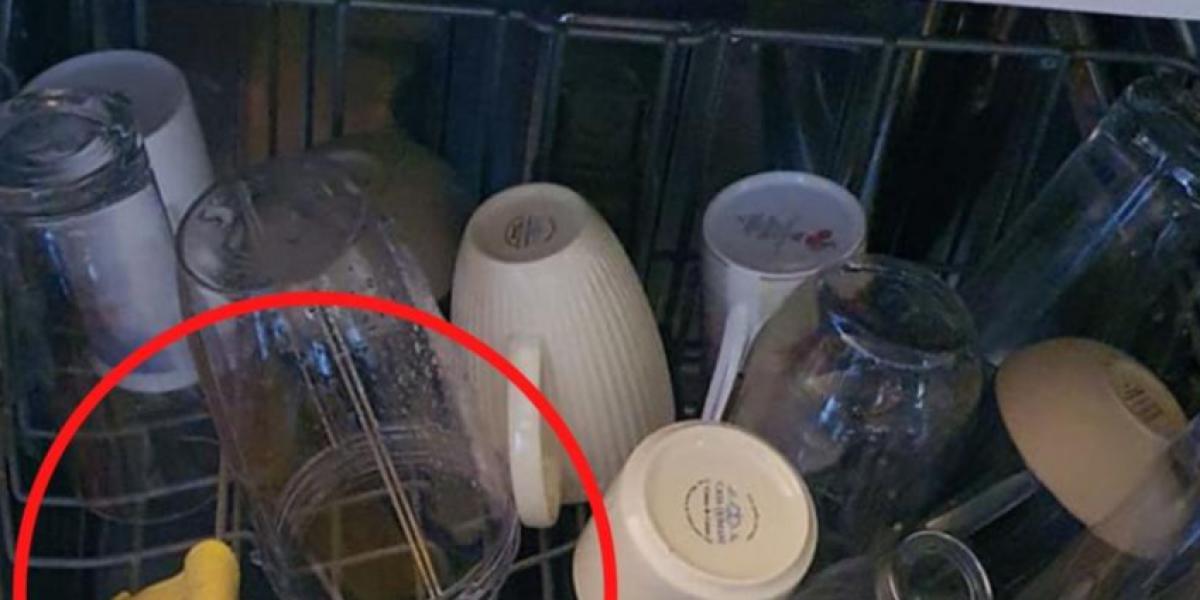 Mor deler genialt husholdningstrick: Det vidste du ikke, at du kunne bruge din opvasker til