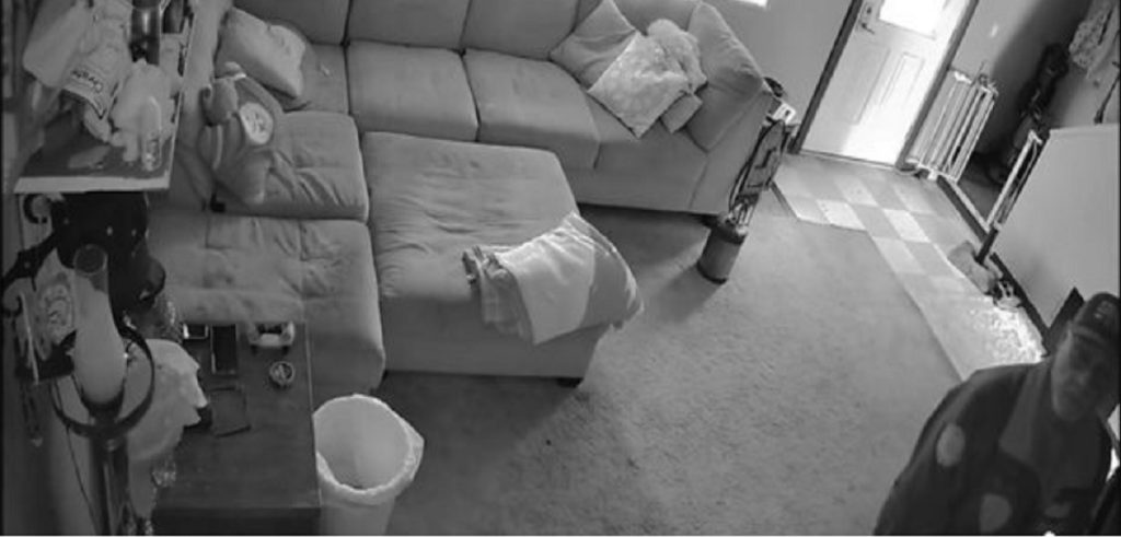 Overvågningskamera afslører skadedyrsbekæmper: Du gætter aldrig, hvilken vulgær ting han gør