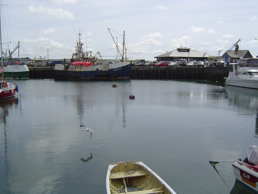 Forfærdeligt: 5-årig dreng død i tragisk havneulykke