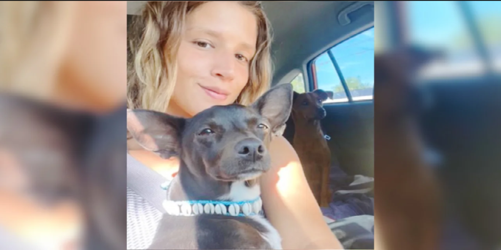Paula skulle på ferie med sin hund: Da de lander, sker det utænkelige