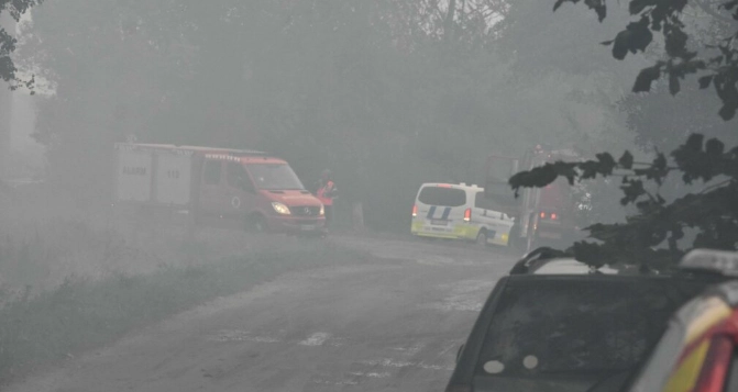 Brand i svinestald endte tragisk: Omkring 100 svin er døde