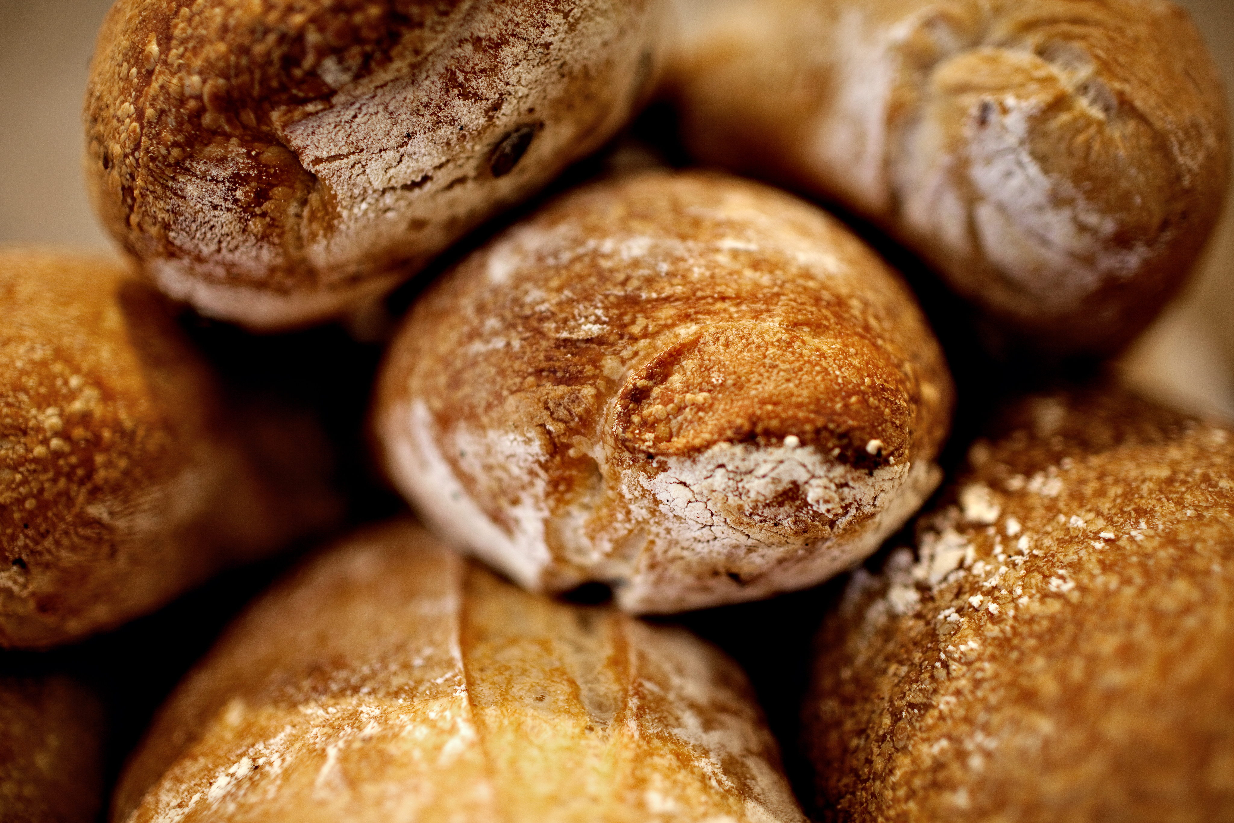 Fødevarestyrelsen tilbagekalder brød og kager: Risiko for muse-forurening