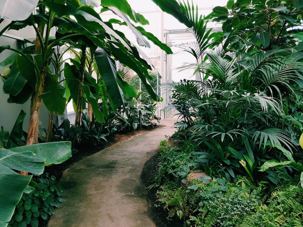 Det mangfoldige drivhus: Mere end blot et hjem for dine planter
