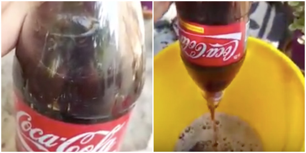 Mand gyser over vammel Coca-Cola: Får en grim overraskelse, da han ser, hvad der gemmer sig i flasken