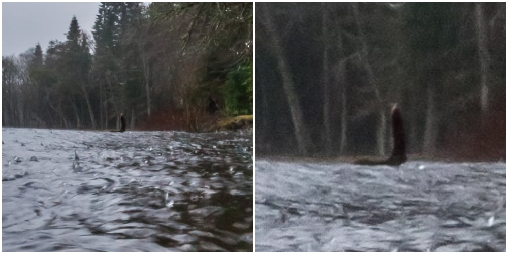 Lisa gjorde vildt fund: Har spottet Loch Ness-uhyret via Google Earth