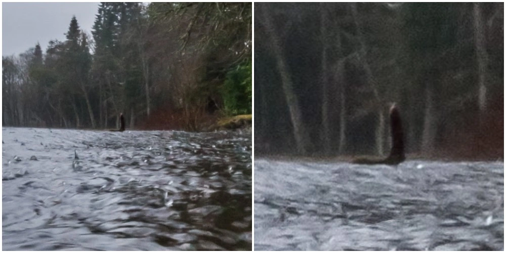 Lisa gjorde vildt fund: Har spottet Loch Ness-uhyret via Google Earth