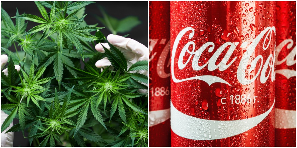 Skål i hamp! Nu vil Coca-Cola lave cannabis-cola