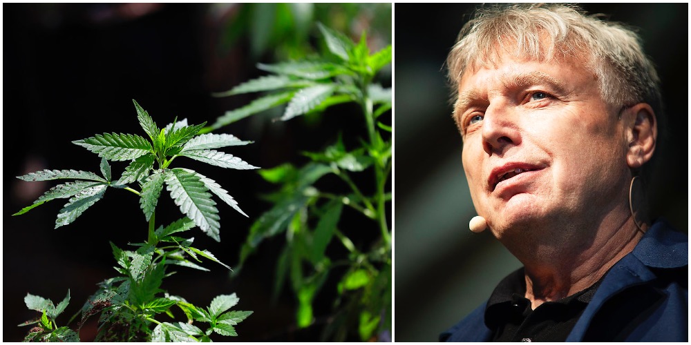 Nyt forslag fra Alternativet: Dyrk cannabis i altankassen