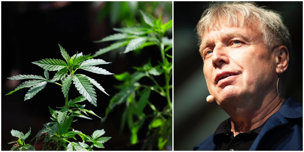 Nyt forslag fra Alternativet: Dyrk cannabis i altankassen
