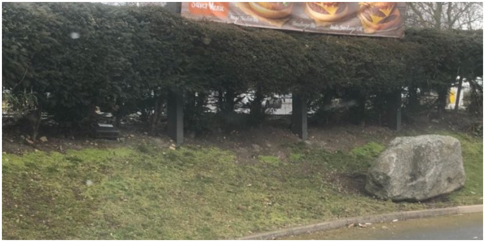 Kvinde var på vej gennem drive-thru på McDonalds: Et syn i vejkanten fik hende til at miste appetitten