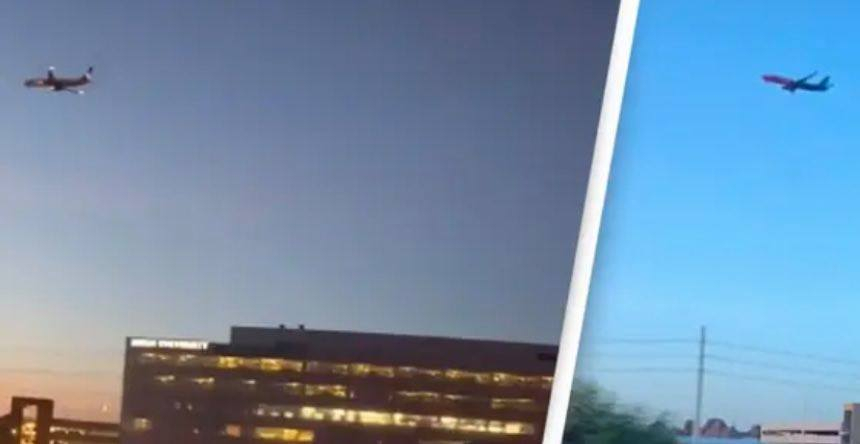 Fly-video splitter internettet og skaber debat: Hvad foregår der?