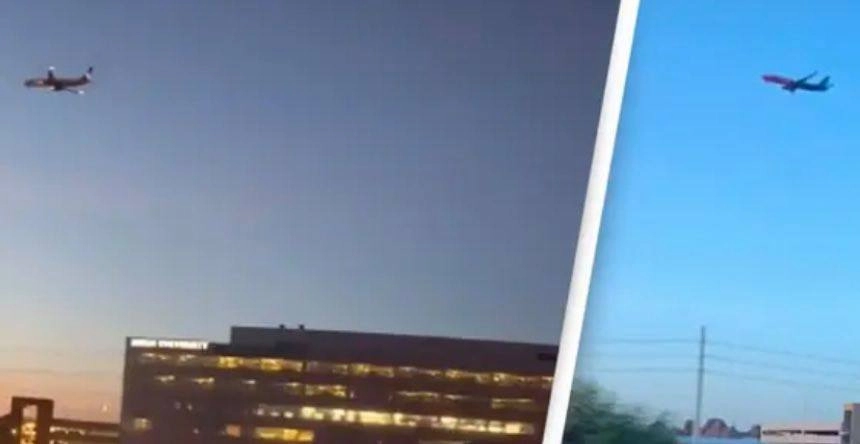 Fly-video splitter internettet og skaber debat: Hvad foregår der?