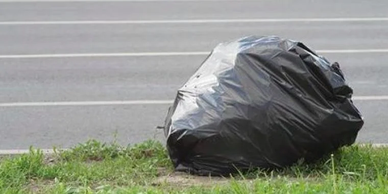 12-årig pige ser mand smide plastikpose ud af bil – men så begynder den at bevæge sig
