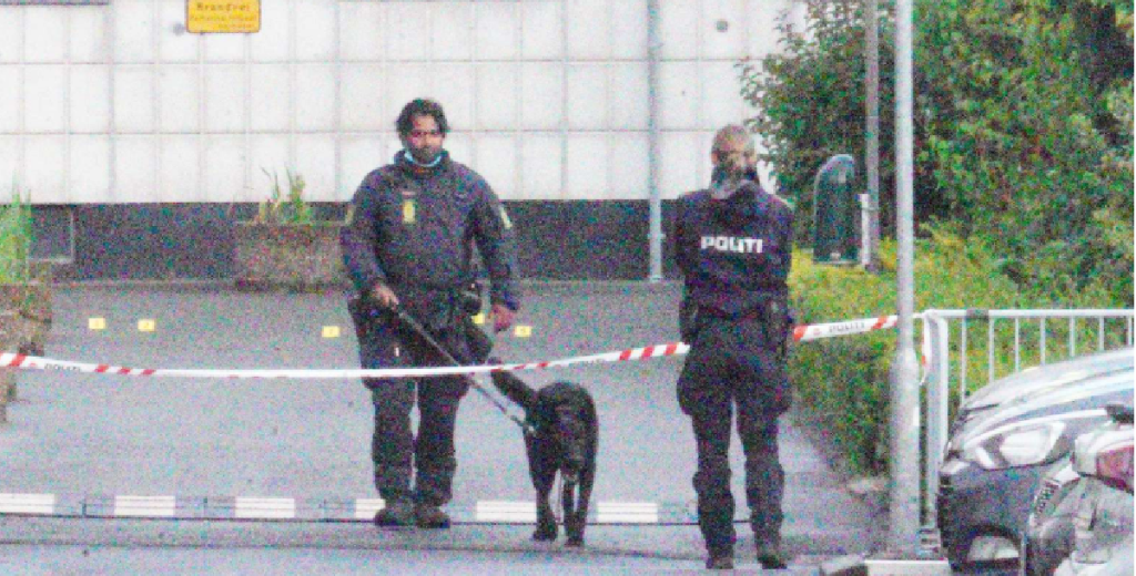 Politiet massivt til stede: Nu efterlyser de øjenvidner