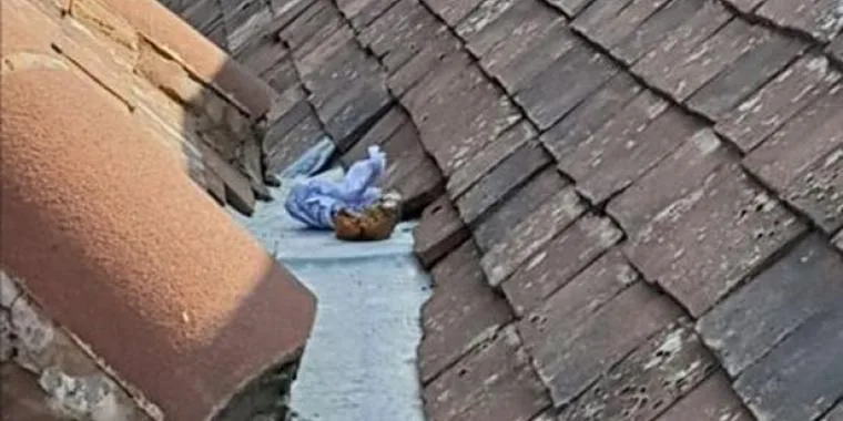 38-årig far raser: Håndværkerne har skidt på mit tag