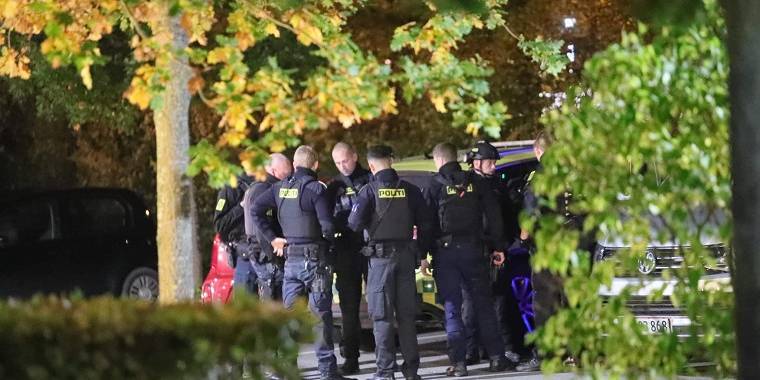 5-årig dræbt i trafikken: Nu er der nyt