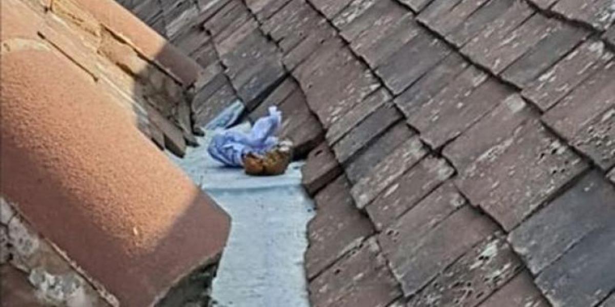 38-årig far raser: Håndværkerne har skidt på mit tag