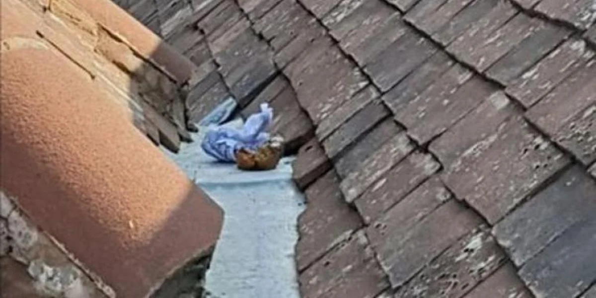 38-årig far raser: Håndværkerne har skidt på mit tag