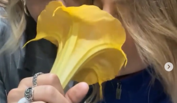 TikTok-stjerne lugtede til en blomst men endte med et dårligt trip