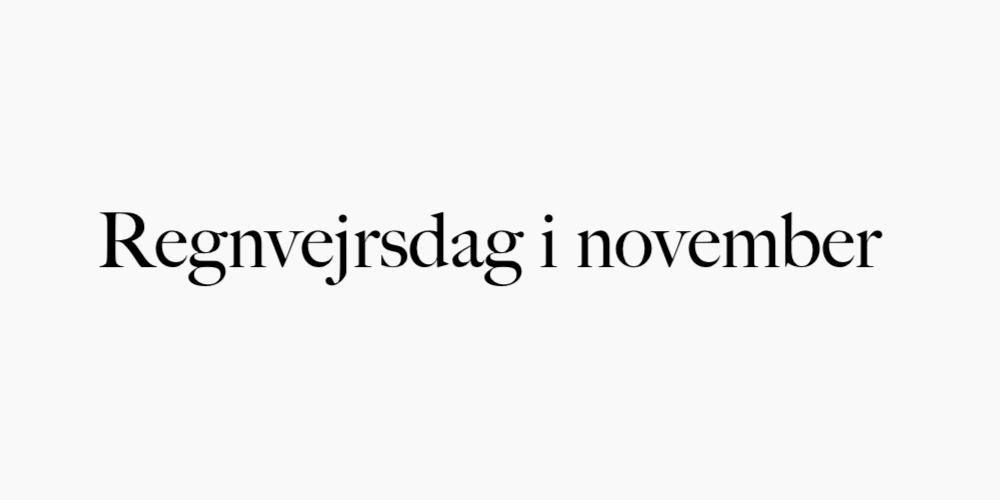 Regnvejrsdag i november