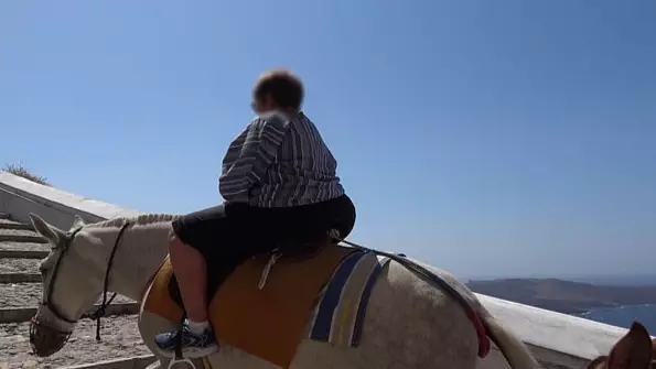 Uhyggelige billeder viser æsler tvunget til at bære overvægtige turister op ad bakke i dansk ferieparadis