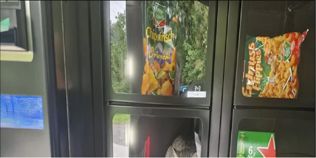 Mand går ind i sin butik: Da han kigger ind i slikautomaten, løber det koldt ned ad ryggen på ham