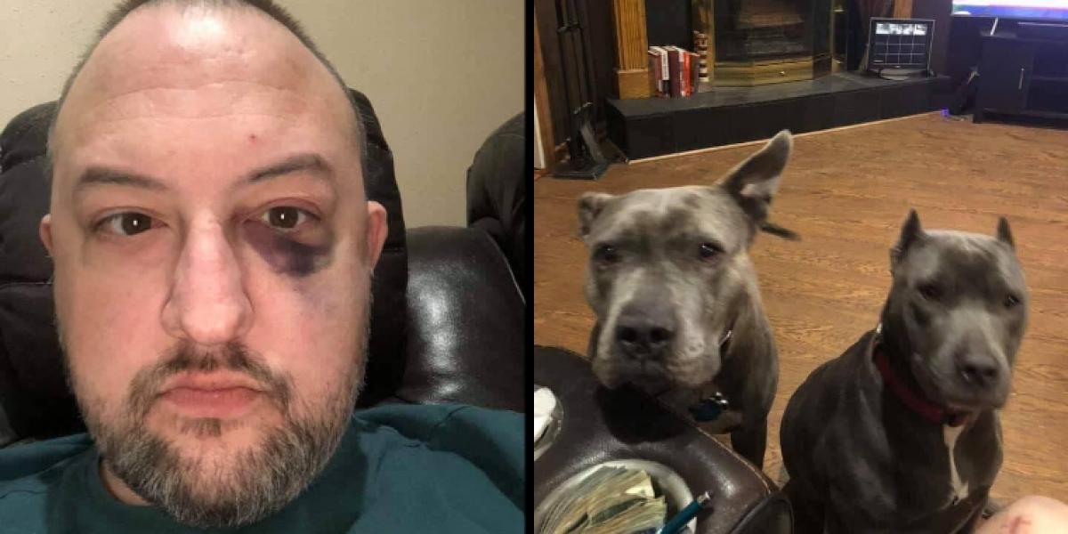 Robert adopterede to hunde som ingen ville have: Sådan reddede de hans liv