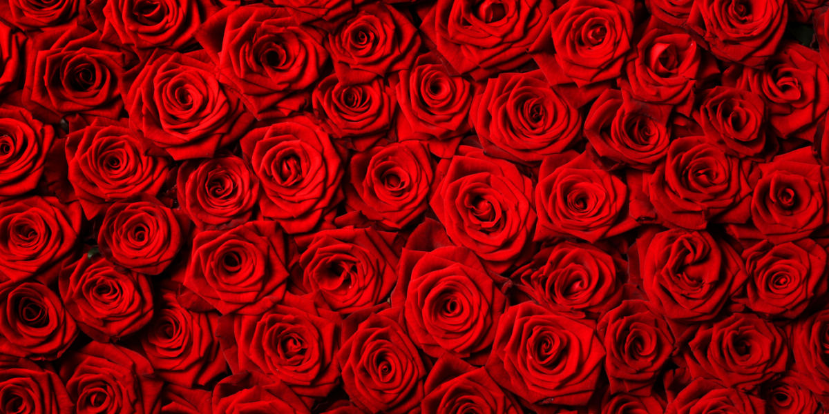 Folk vil have Valentinsdag aflyst