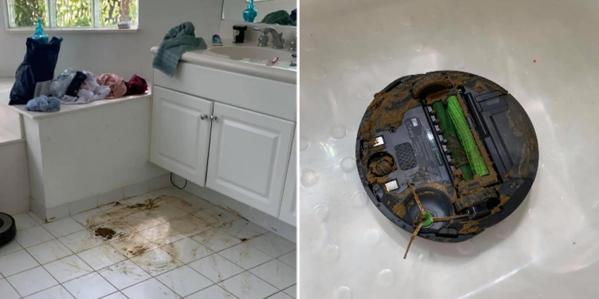 Ryans hund havde skidt på gulvet: Så gik robotstøvsugeren i gang