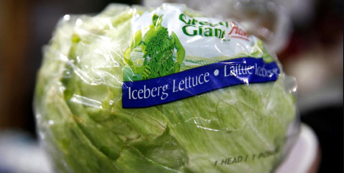 Dette salathoved har taget verden med storm: Kan du se hvorfor?