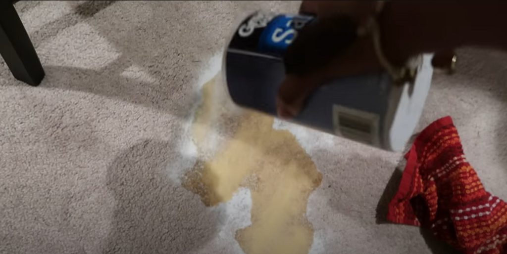 Hun drysser salt på gulvtæppet: Når du ser, hvad der sker, vil du gøre det samme