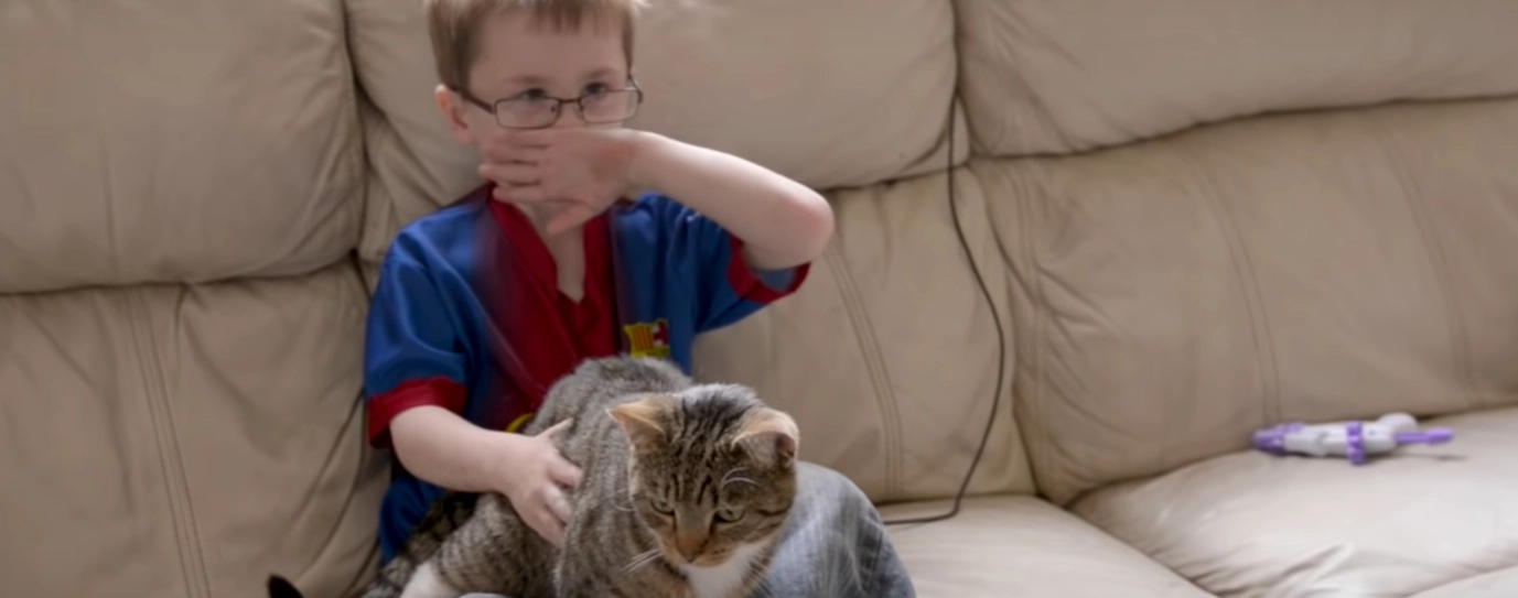 Drengen blev skubbet, men se så hvad katten gør