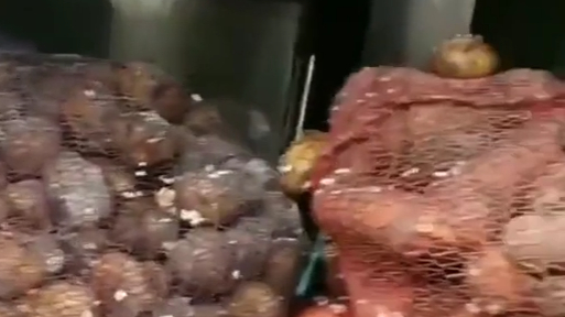 Ny video afslører de russiske soldaters barske diæt