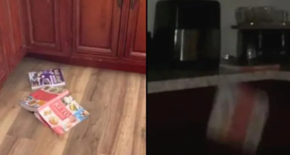 Kvinde satte kamera op i hjemmet for at fange spøgelse: Optagelserne efterlod hende hunderæd