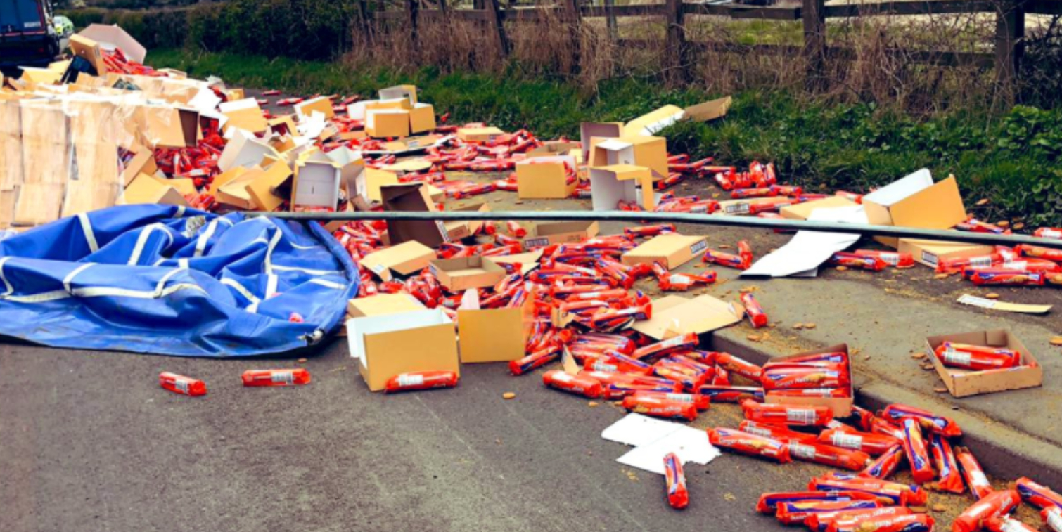 Tusindvis af ‘Digestive’-kiks spærrede vej: Får forsøgte at få en bid