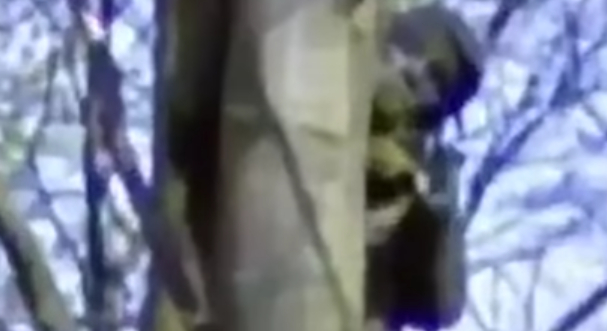 Video viser de skøreste, mest skræmmende og sjoveste fund på Google Maps